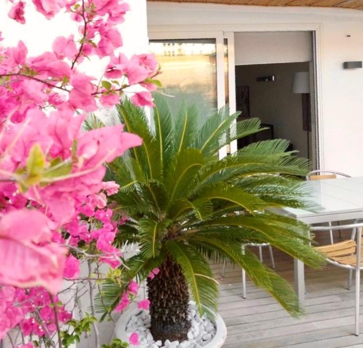 B&B Interno 3 Bari Eksteriør bilde